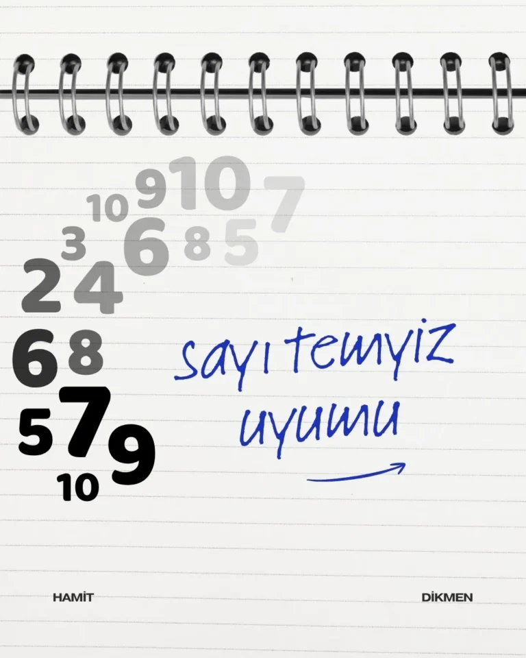 SAYI TEMYİZ SORULARI